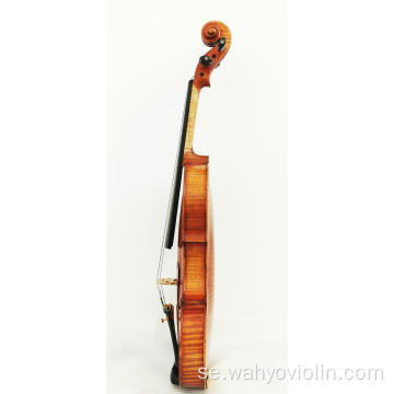 Vald Europe trä Advanced Violin